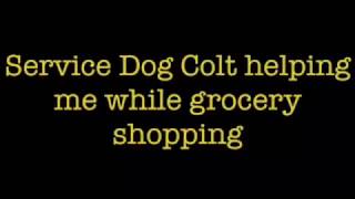 Service dog helps with groceries