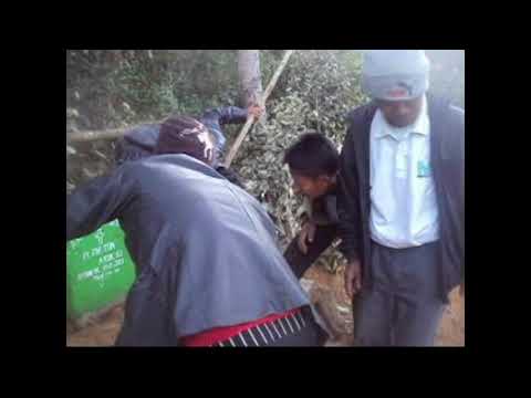 Nicinsung pi thihnak