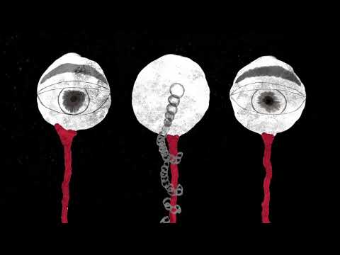 WASSAILER - Domestic Dogs Barking (Official Video)