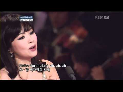 Voice Of Spring - Frhlingsstimmen op. 410 Kim Soo-Youn  (Korean Soprano Lied)  (3).flv