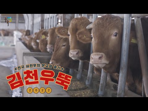 음메~ 좋은 소가 좋은 송아지를 낳는다구! 