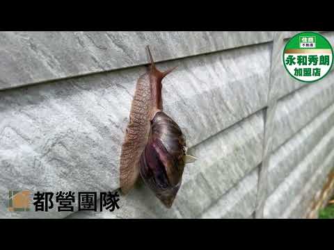 中和區-橫路段農地出售 第1張共16張