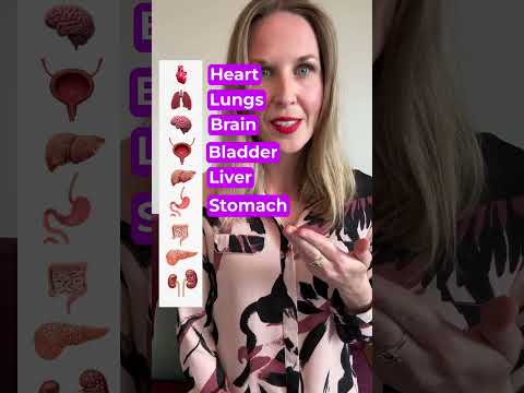 🫁 What Do You Call This Organ of the Human Body? #learnenglish #english