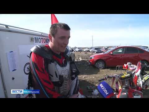 Элиста объединила спортсменов из разных регионов