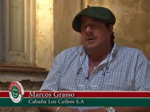 Cabaña Los Ceibos de Familia Grasso - Gardey,Tandil