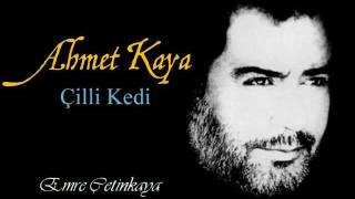Ahmet Kaya - Çilli Kedi