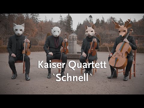 Kaiser Quartett - Schnell (Official Video)