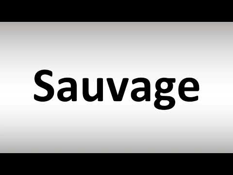How to Pronounce Sauvage