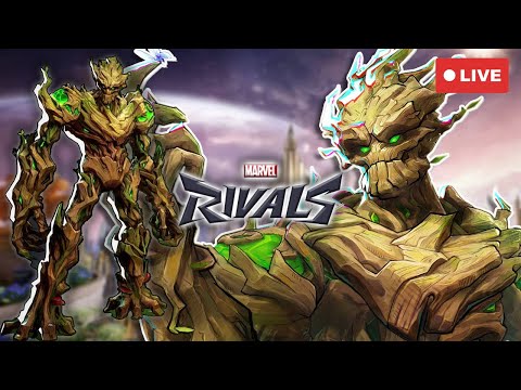 The BBB x Zaester Collab You Didn't Know You Needed?