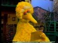 Sesame Street Scenes From 3336