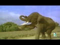 Ram Lakshman Full Movie Video Songs Kamal Haasan Sripriya
