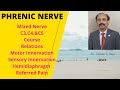 Phrenic Nerve