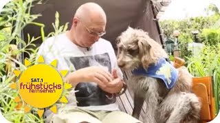 Sind TIERE die BESTE MEDIZIN? So HEILEN uns unsere HAUSTIERE! | SAT.1 