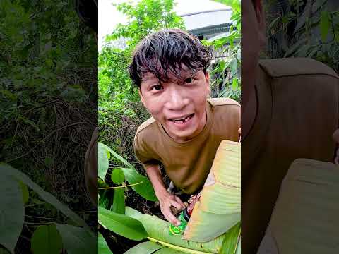 Tôi Thích Chơi Boga - 1 Sao Đến 5 Sao?