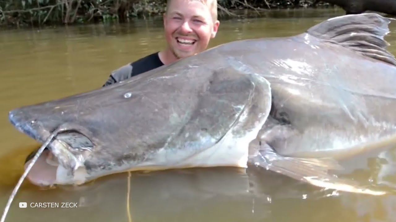 10 Monstros Assustadores do Rio Amazonas Que Foram Filmados