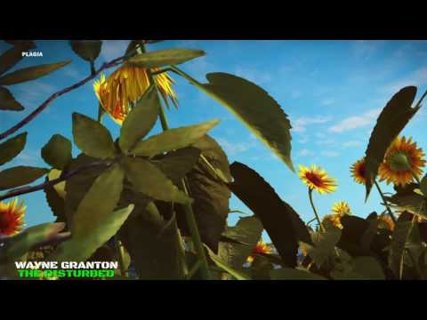 Video Game Ambience Asmr - Sunflower Meadow birds/insects