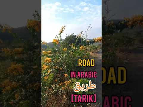 Wordgram | Road in arabic | learn arabic  |word of the day