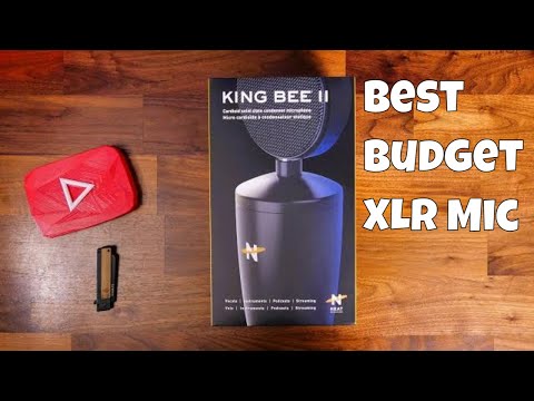 Epic budget XLR mic! - Neat King Bee ii review