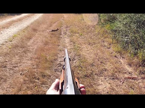 Solo Rabbit Hunt With The Pups!!