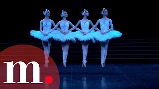 Swan Lake, Tchaikovsky - Dance of the Little Swans