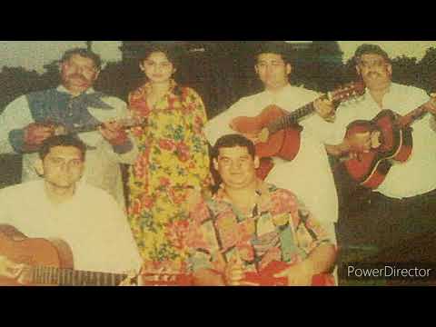 Bácsko - tela zeleno vés (2021)