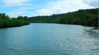 preview picture of video 'Loay River Cruise Bohol - Countryside Tour Bohol - WOW Philippines Travel Agency'