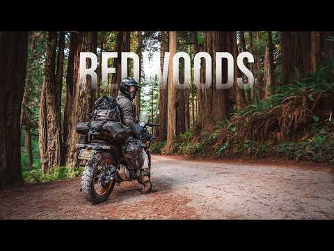 Exploring the Pacific Coastline of the USA by motorcycle - Episode 14