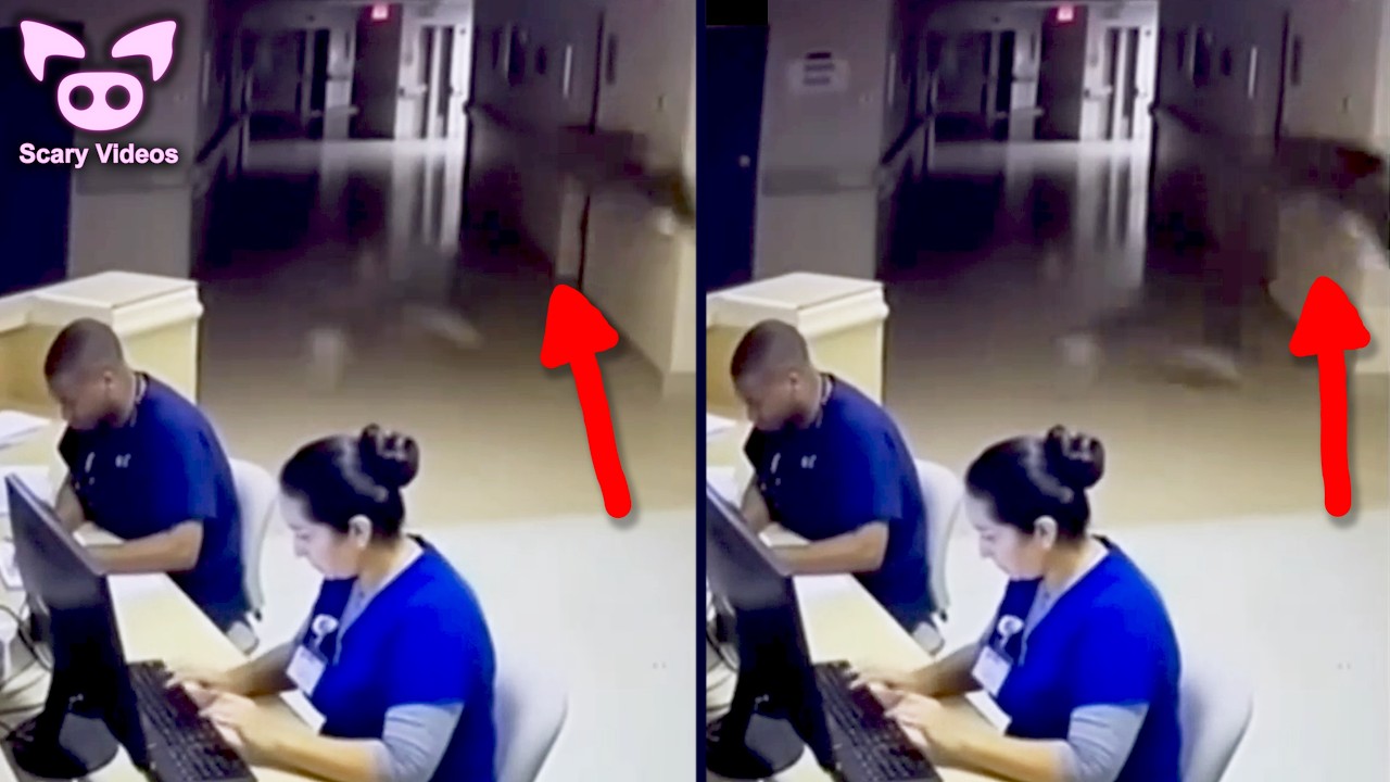 SCARY VIDEOS That No One Can Explain (Ghost Horse Edition)