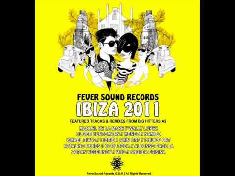 Joyfulness (Alfonso Padilla Remix) - Viann (Fever Sound Records).wmv