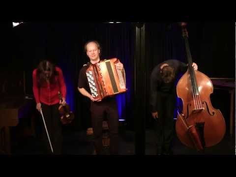 RUDI ZAPF TRIO - Grenzenlos (Konzertausschnitte) Video 2 von 2