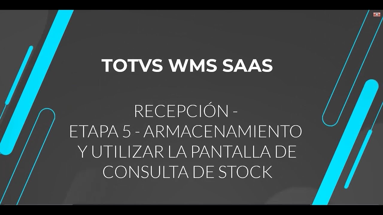 How To | WMS SaaS | Recepción | Etapa 5 - Almacenamiento/Utilizar la Pantalla de Consulta de Stock