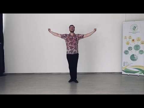 Kvikstepas su Justu Bareišiu.