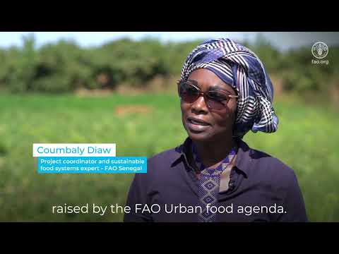 Urban Food Agenda – Building Prosperous small cities and towns