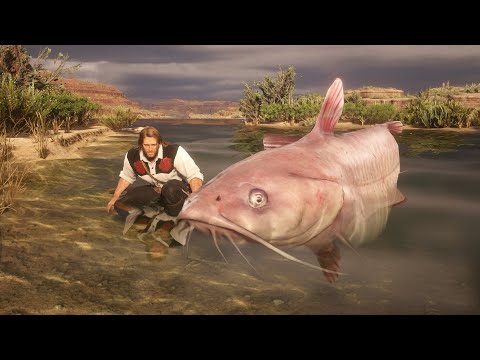 Arthur catches the Legendary Giant Catfish that ate the fish collector