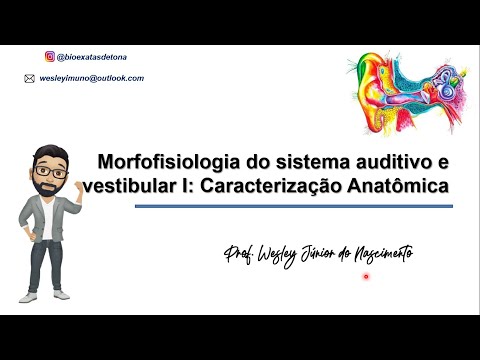 Morfofisiologia do Sistema Auditivo e Vestibular I :Anatomia da Orelha