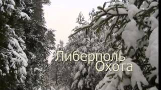 preview picture of video '2012-12-08 Либерполь. Олени. Секач'