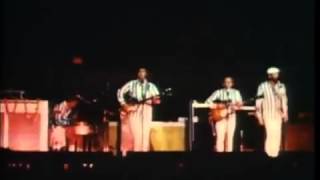 THE BEACH BOYS   1966   God Only Knows   YouTube