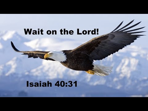 Teach me, Lord, to wait - Suzy Hamblen