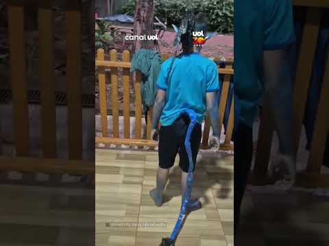 Menino se fantasia de Avatar para a escola, mas é confundido com outro personagem azul