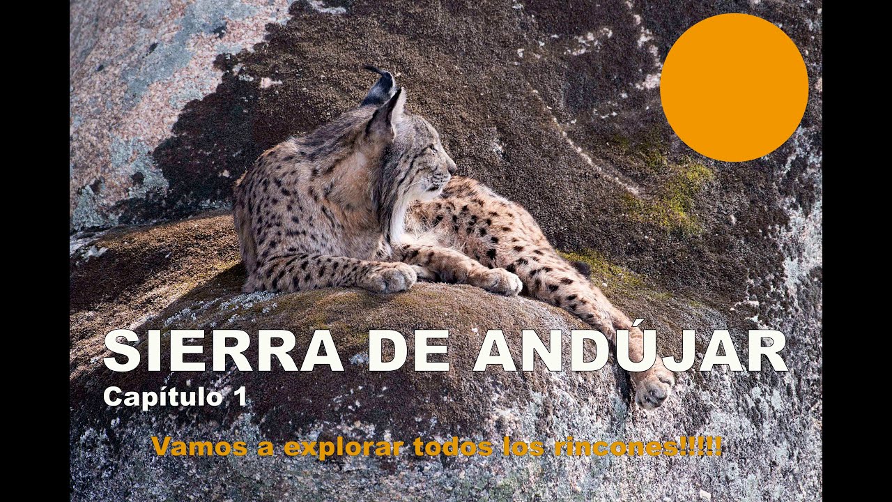 Chalet en Venta en Andújar