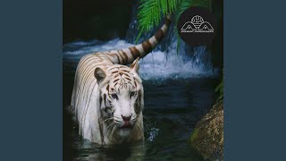 Not Seeing Is A Flower