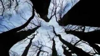 I wonder (Brenda Lee)