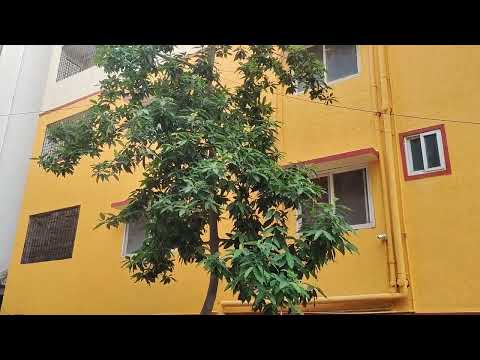 3D Tour Of Sai Shyam Enclave