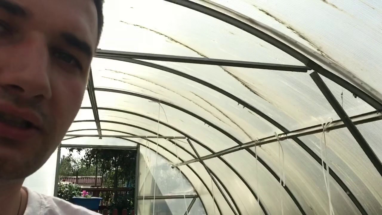 Перец Ожаровский