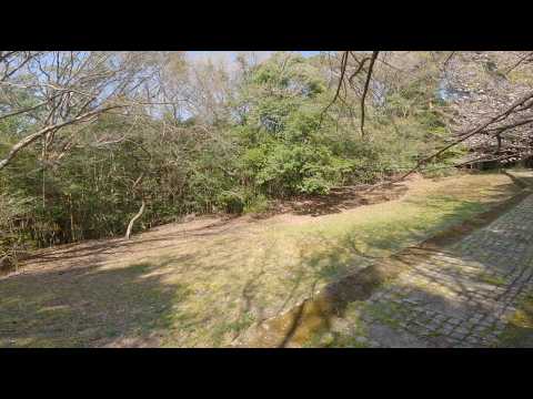 佐賀県有田町黒牟田「山辺田窯跡」（国指定史跡）