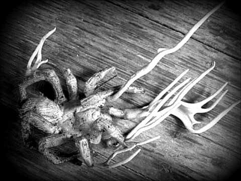 Hidenobu Ito - Eeetherz (Original Mix)