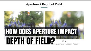 Aperture Basics: How Does Aperture Impact Depth of Field?