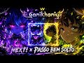 NEXT X PASSO BEM SOLTO Mashup