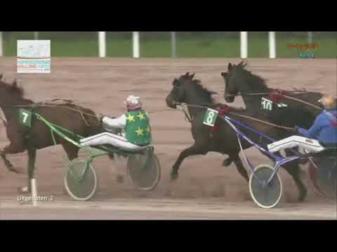Hippodrome de Wallonie Mons (België) 06-11-2020 Selectieproef 4 Cyriel d'Atom - Jos Verbeeck