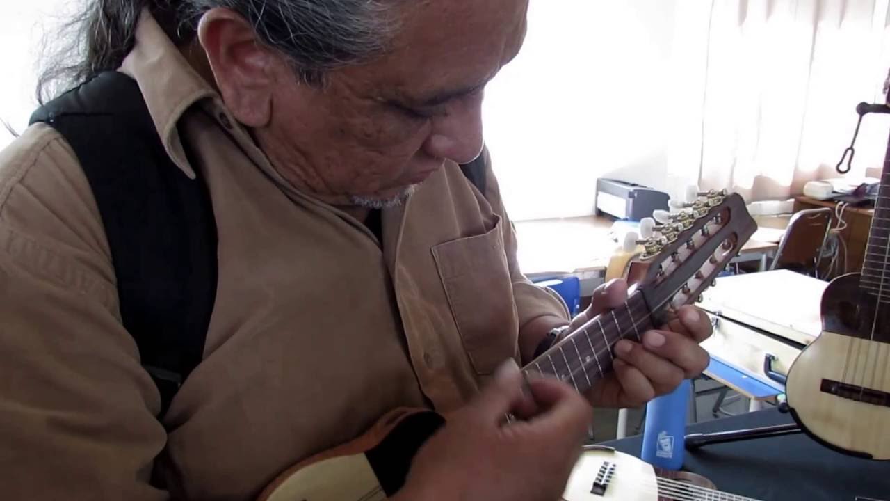 Vídeo de la empresa TALLER DE INSTRUMENTOS MUSICALES - ANTILKO